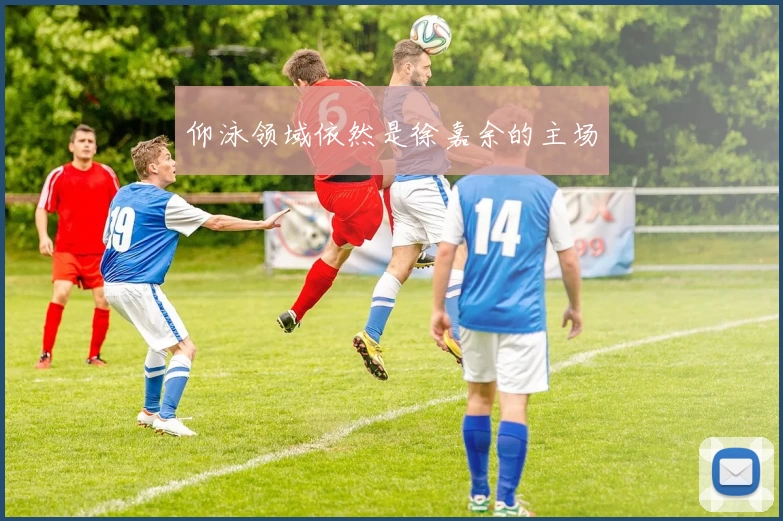 仰泳领域依然是徐嘉余的主场