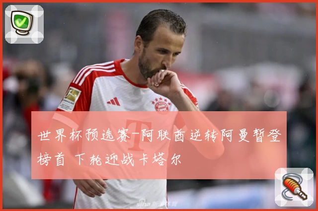 世界杯预选赛-阿联酋逆转阿曼暂登榜首 下轮迎战卡塔尔