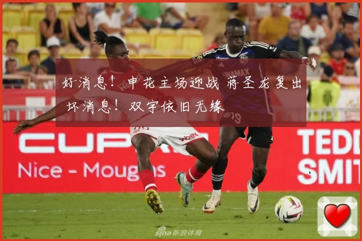 好消息！申花主场迎战 蒋圣龙复出 坏消息！双宇依旧无缘