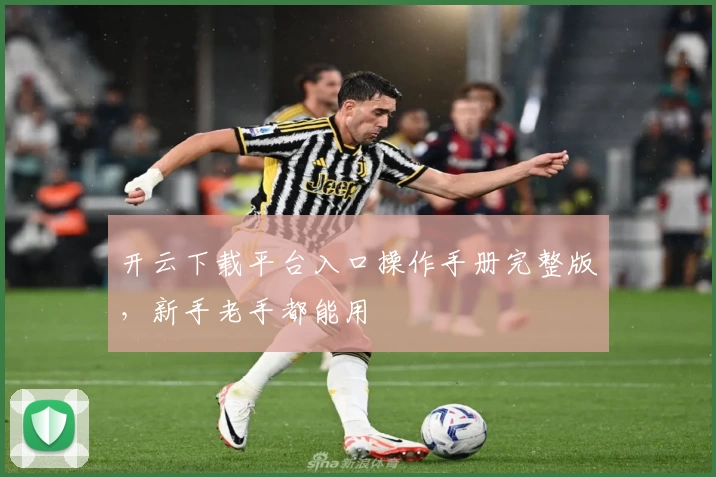 开云下载平台入口操作手册完整版，新手老手都能用
