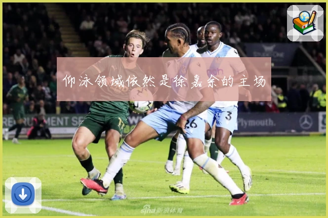 仰泳领域依然是徐嘉余的主场